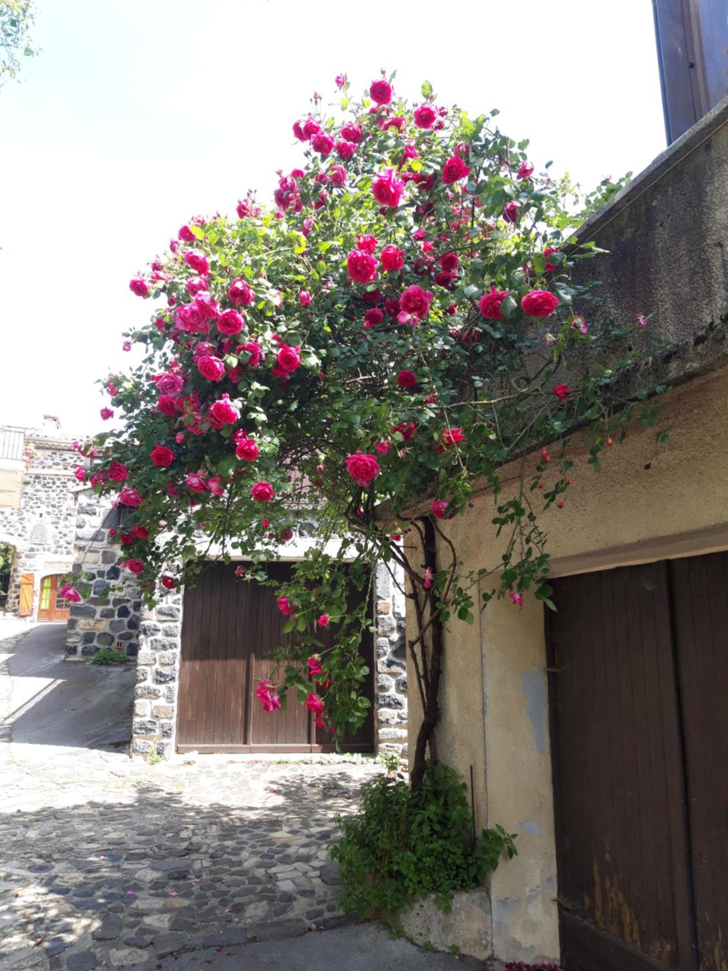 Villa Le Cocon Lussas Esterno foto